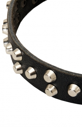 Fancy Design Leather Dog Collar with Nickel Pyramids