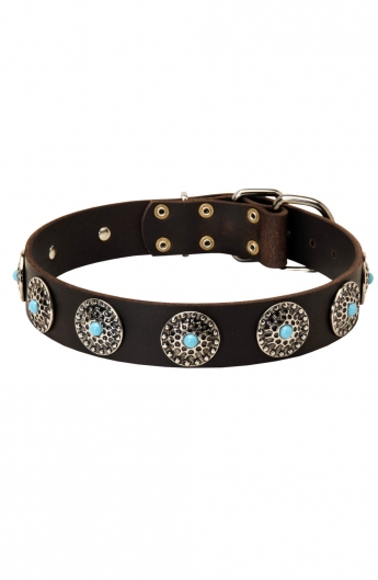 Cool Leather Dog Collar with Silver Plated Circles and Blue Stones