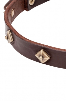 Narrow Leather Dog Collar with Brass Pyramids "Egyptian Magic"