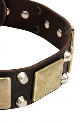 Vintage Leather Dog Collar with Old Brass Massive Plates and Nickel Plated Cones