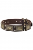 Fancy Dog Leather Collar with Vintage Brass Plates and Nickel Studs