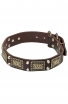 Fancy Dog Leather Collar with Vintage Brass Plates and Nickel Studs
