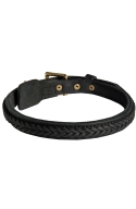 Braided Leather Dog Collar with Solid Brass Buckle