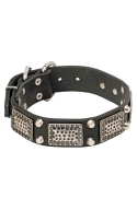 Decorated Leather Dog Collar with Massive Plates and 2 Nickel Pyramids