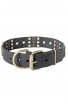 Spiked Leather Collar with Old Brass Massive Plates