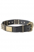 Spiked Leather Collar with Old Brass Massive Plates