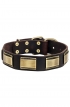 Unique Leather Dog Collar with Vintage Brass Plates