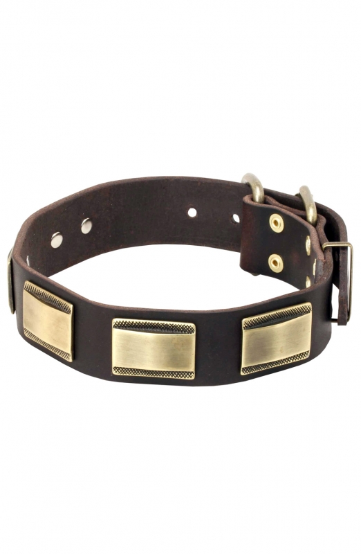 Unique Leather Dog Collar with Vintage Brass Plates - Old Mill Store