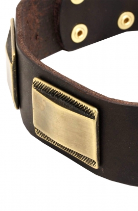 Unique Leather Dog Collar with Vintage Brass Plates