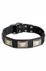 Wide Leather Dog Collar with Massive Nickel Plates