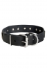 Wide Leather Dog Collar with Massive Nickel Plates