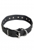 Wide Leather Dog Collar with Massive Nickel Plates