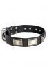 Wide Leather Dog Collar with Massive Nickel Plates