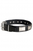 Wide Leather Dog Collar with Massive Nickel Plates