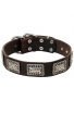 War Style Leather Dog Collar with Massive Nickel Plates