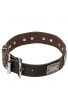 War Style Leather Dog Collar with Massive Nickel Plates