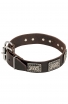 War Style Leather Dog Collar with Massive Nickel Plates