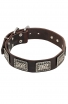 War Style Leather Dog Collar with Massive Nickel Plates