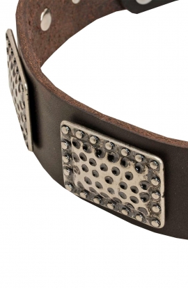 War Style Leather Dog Collar with Massive Nickel Plates