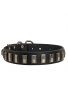 Amazing Leather Dog Collar with Smooth Nickel Plates