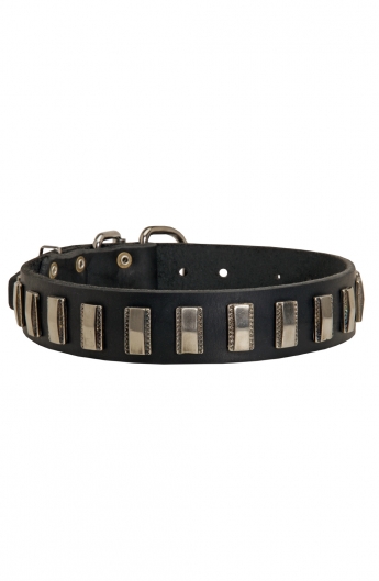 Amazing Leather Dog Collar with Smooth Nickel Plates