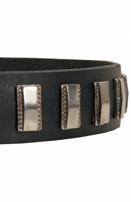 Amazing Leather Dog Collar with Smooth Nickel Plates