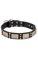 Spiked Dog Collar with Old Nickel Massive Plates