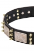 Spiked Dog Collar with Old Nickel Massive Plates