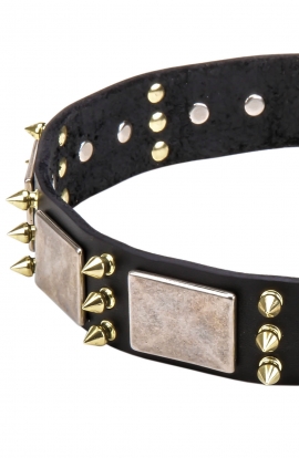 model OldMill-C87 Dog Collar with 3 Brass Spikes and Old Nickel Massive Plates for everyday walking