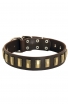 Designer Leather Dog Collar with Small Brass Plates