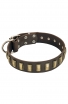 Designer Leather Dog Collar with Small Brass Plates