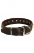 Designer Leather Dog Collar with Small Brass Plates