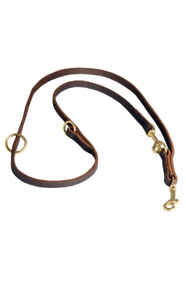 Universal Leather Dog Leash with Short Braids