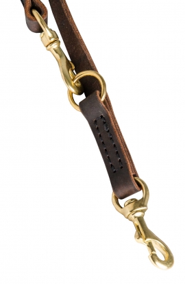 Multimode Leather Dog Leash with Two Snap Hooks