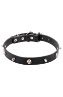 Leather Dog Collar "Silver Skull" with Row of Nickel Spikes and Skulls