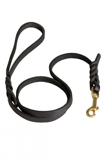 Universal Braided Leather Dog Leash – ½ inch wide