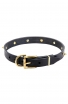Leather Dog Collar "Golden Skull" with Row of Brass Spikes and Skulls