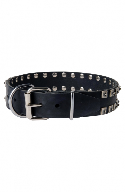 Fancy Studded Leather Dog Collar with Small Nickel Studs - Old Mill Store