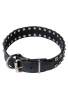 Fancy Studded Leather Dog Collar with Small Nickel Studs