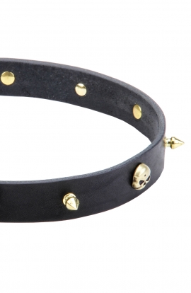 Leather Dog Collar "Golden Skull" with Row of Brass Spikes and Skulls