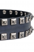 Fancy Studded Leather Dog Collar with Small Nickel Studs