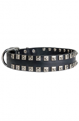 Fancy Studded Leather Dog Collar with Small Nickel Studs