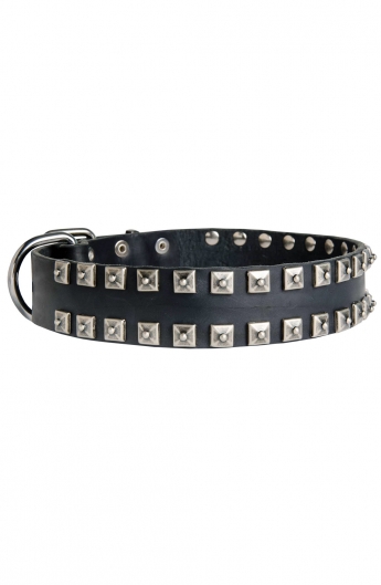 Fancy Studded Leather Dog Collar with Small Nickel Studs