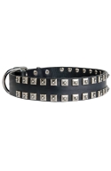 Fancy Studded Leather Dog Collar with Small Nickel Studs