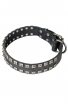 Fancy Studded Leather Dog Collar with Small Nickel Studs