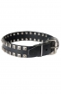 Fancy Studded Leather Dog Collar with Small Nickel Studs