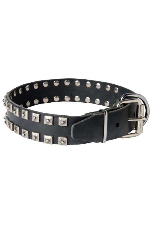 Fancy Studded Leather Dog Collar with Small Nickel Studs - Old Mill Store