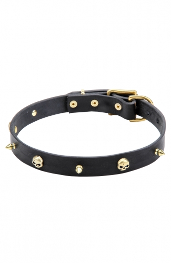Leather Dog Collar "Golden Skull" with Row of Brass Spikes and Skulls