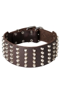 3 inch Wide Spiked Leather Dog Collar with 5 Rows of Studs