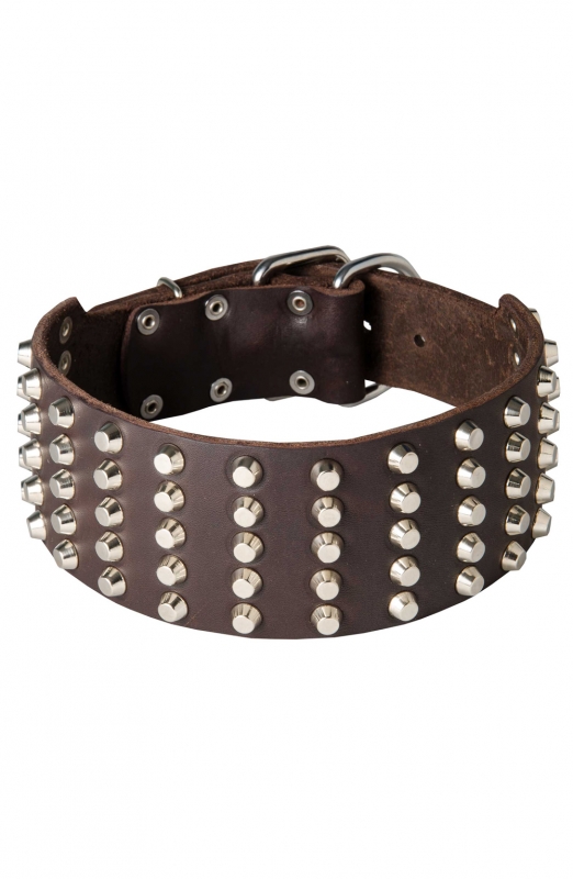 Spiked Leather Dog Collar and Braided Leash Set - Old Mill Store